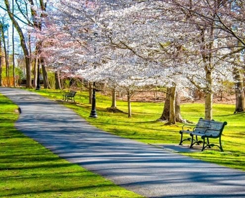 A perfect park bench for some alone time.