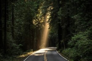 The 4 Pillars of Introvert Well-Being makes the road of life smoother and more beautiful.