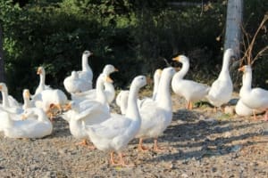 Introverts aren't antisocial or asocial—they just want to interact with people their own, introverted way.