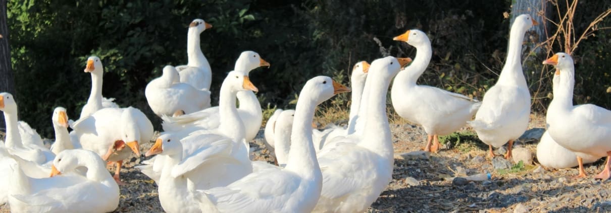 Introverts aren't antisocial or asocial—they just want to interact with people their own, introverted way.