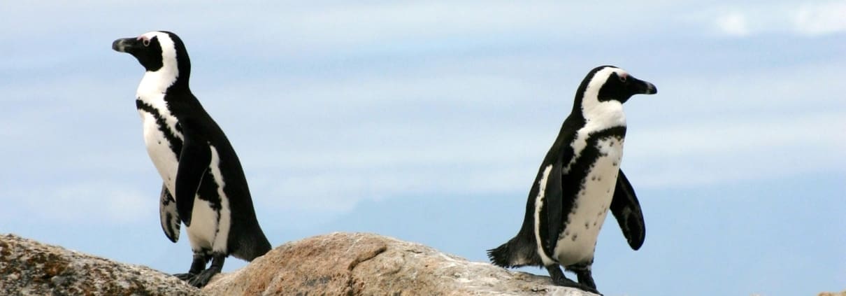 When opposites attract—how not to repel each other.