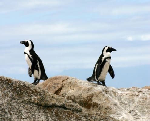 When opposites attract—how not to repel each other.